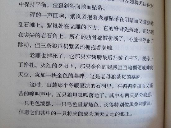 狼王梦