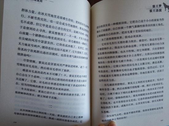 狼王梦
