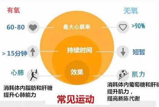 无氧运动VS有氧运动
