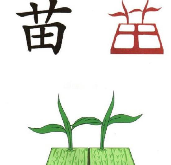 读书