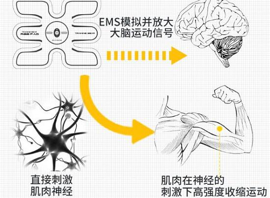 健肌仪原理