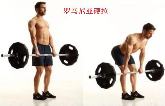 罗马尼亚硬拉