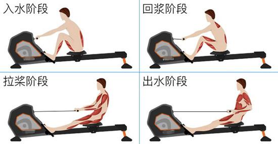 划船机动作含义