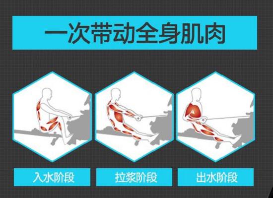 划船机动作