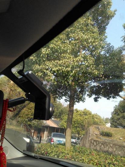 在颠簸路段行车
