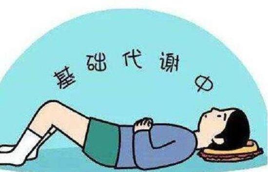 基础代谢
