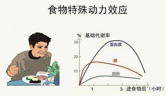 基础代谢率与时间的关系