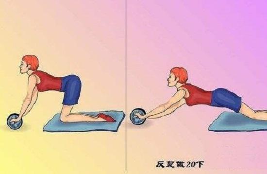 健腹轮的用法
