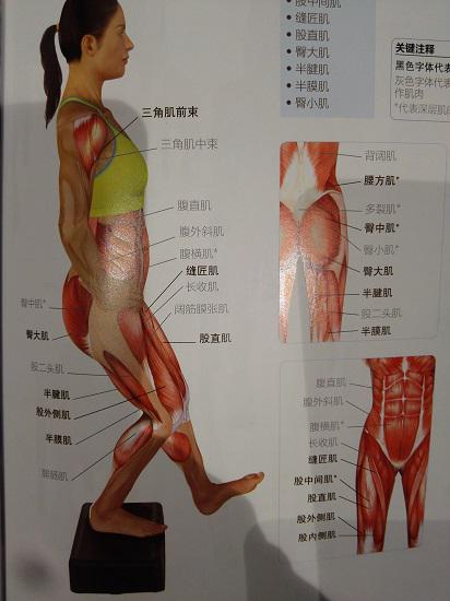 单腿下踏板