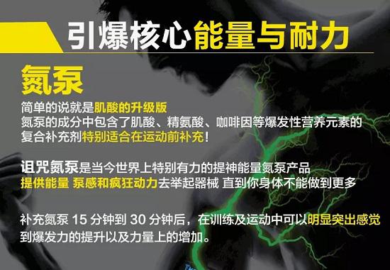 氮泵的成分