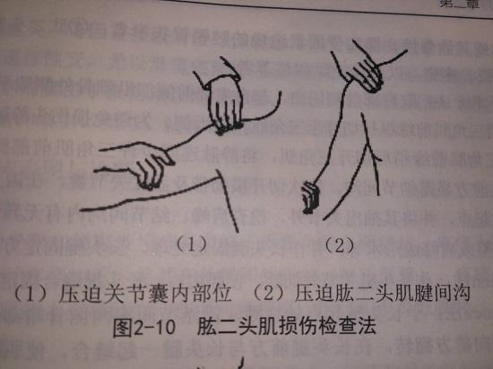 肱二头肌长头肌腱的压痛测试