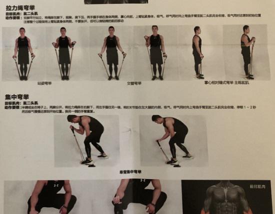 健身弹力带的用法