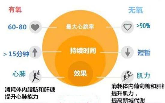 有氧运动