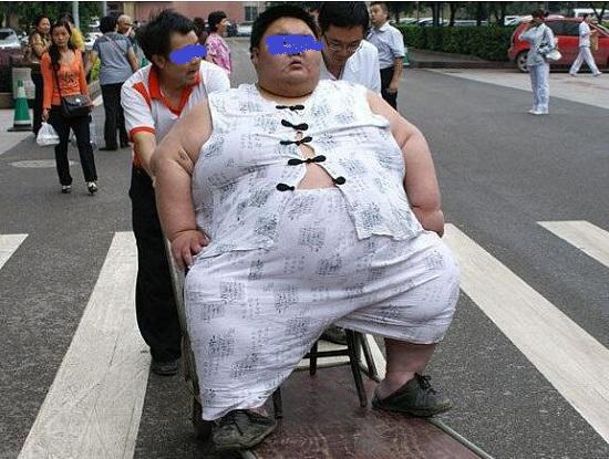 大胖纸