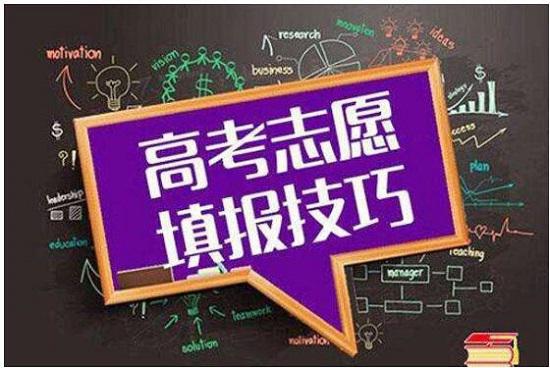 填报高考志愿