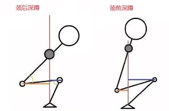 颈前深蹲和颈后深蹲的重心图