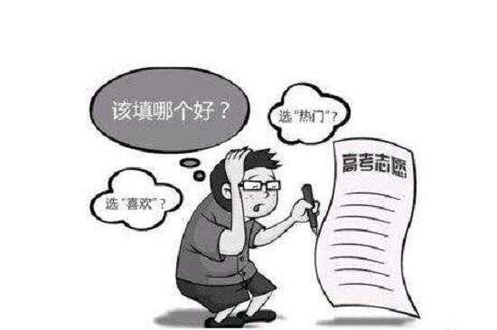 填报志愿