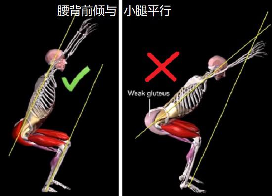过顶蹲动作中的动作评估