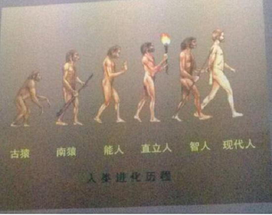 自然博物馆
