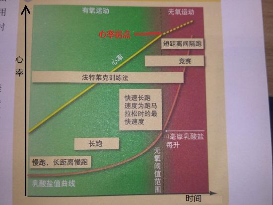 无氧运动心率的测试