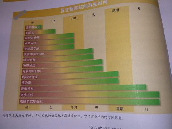 机体恢复时间