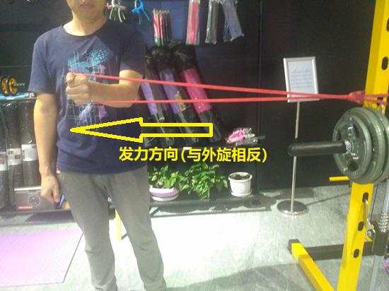 弹力带内旋