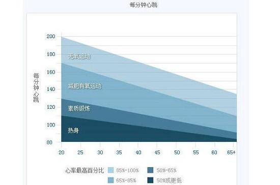参考心率