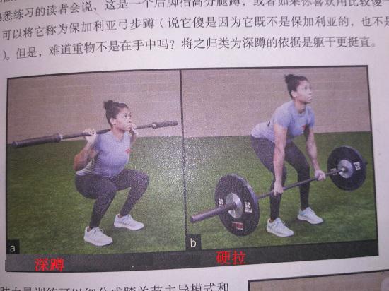 深蹲和硬拉