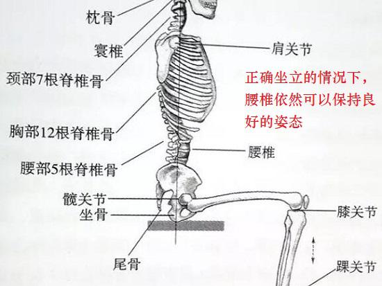 正确的坐姿很重要