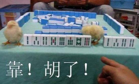 打麻将