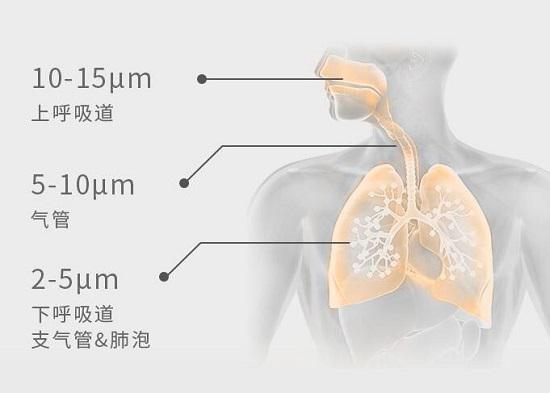 雾化颗粒直径