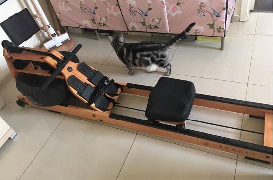 小莫划船机
