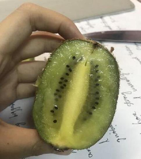 绿心猕猴桃