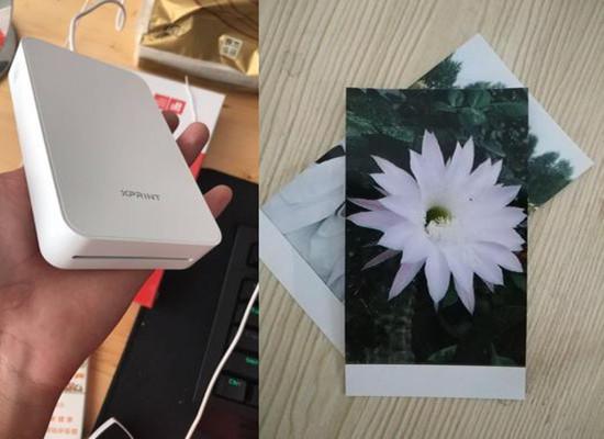 极印照片打印机