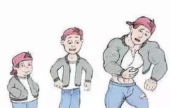 肌肉生长