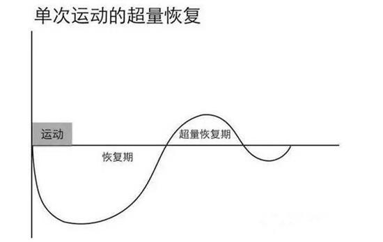 力量训练的超量恢复