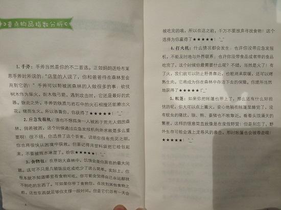 《手斧男孩》