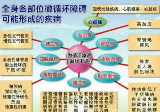 微循环系统的重要性