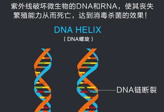 紫外线杀菌