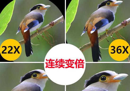 变倍