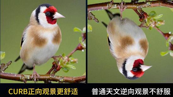 正像与倒像