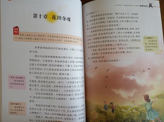 《绿野仙踪》
