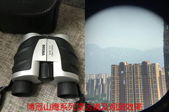 博冠山鹰系列