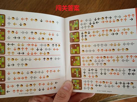 Smart Games益智桌游