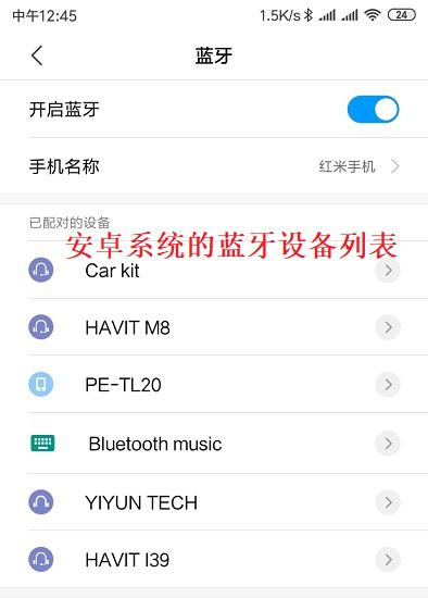 蓝牙设备列表