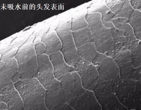 发丝表面