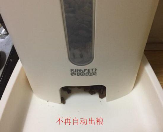 简易宠物喂食机