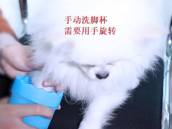 宠物洗脚杯