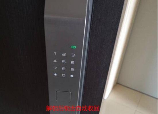 德施曼Q5智能门锁
