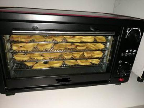 正在工作的干果机